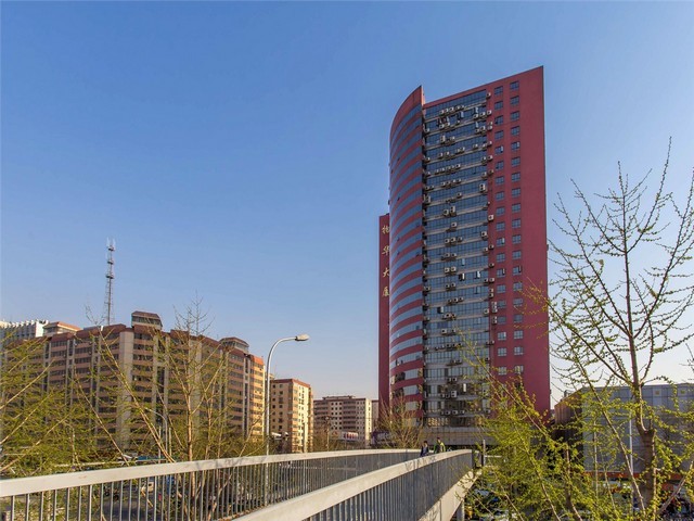 湖北锌合金皮膜供应商